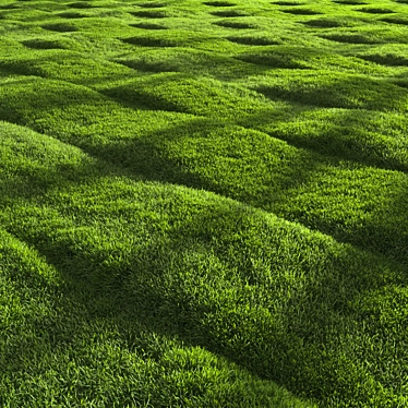 Grass Pattern