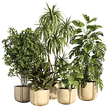 Concrete Pot Indoor Plant Set 3D model image 1 