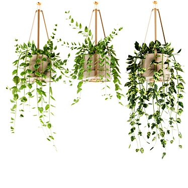 Hanging Ivy Plants Set25 Pot 3D model image 1 