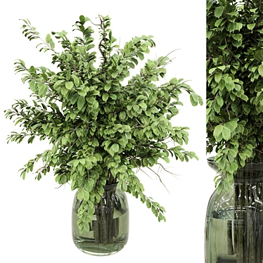 Bouquet Green Branch In Glass Vase 50