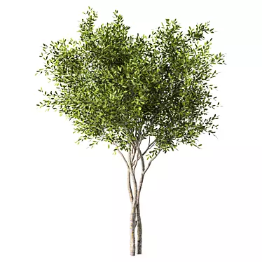 Tall Evergreen Tree Sculpture 3D model image 1 