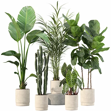 Plants collection 201