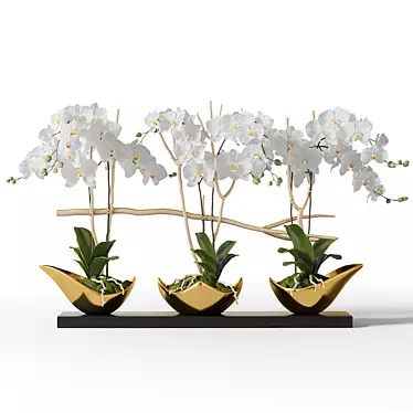 Gilded Orchids in Black Vase 3D model image 1 