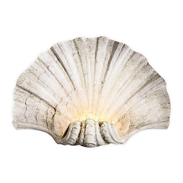 Shell Wall Light by Cox 3D model image 1 