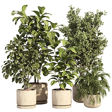 Concrete Pot Indoor Plant Set 3D model image 1 