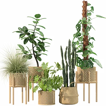 Luxury Indoor Plant Assortment 203 3D model image 1 