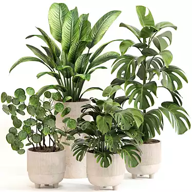 Modern Indoor Plant Set 090 3D model image 1 