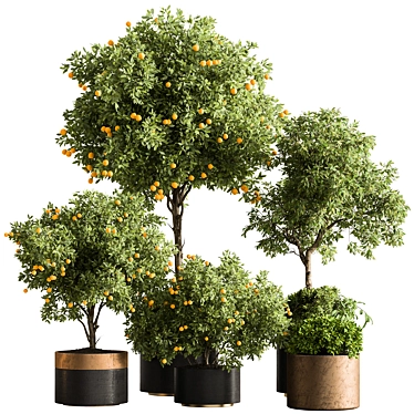  Citrus Heaven: Lemon Plants 3D model image 1 