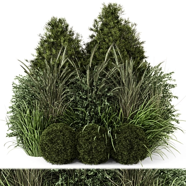 Outdoor Plants Bush Set 2127 3D model image 1 