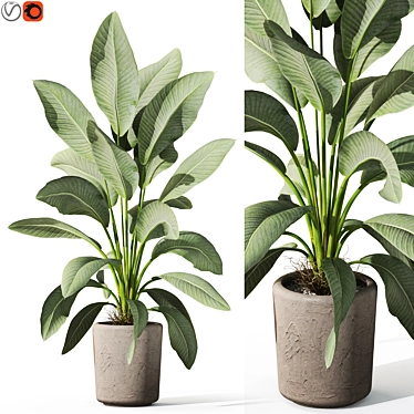 Botanic Delightful Greenery Bundle 3D model image 1 