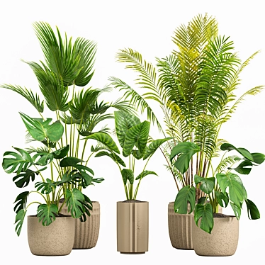 indoor plants set 046