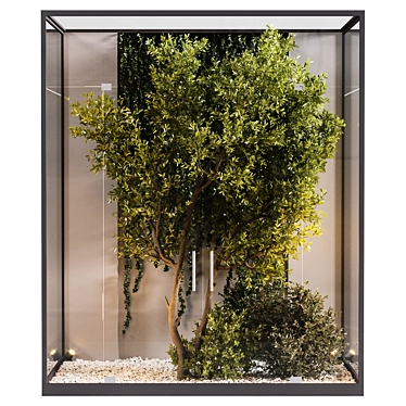 Glass Box Indoor Plant Display 3D model image 1 