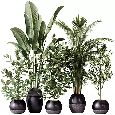 Modern Indoor Plant Set Model 3D model image 1 