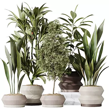 Modern Indoor Plant Set Collection 3D model image 1 