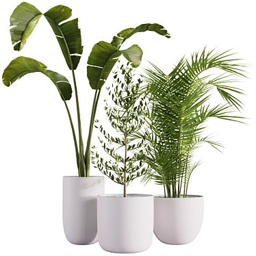 Corona Indoor Plants Set 2015 3D model image 1 