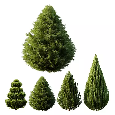 Variety Bush Models Collection 3D model image 1 