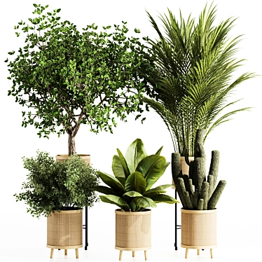 Premium Indoor Plants Set 99 3D model image 1 