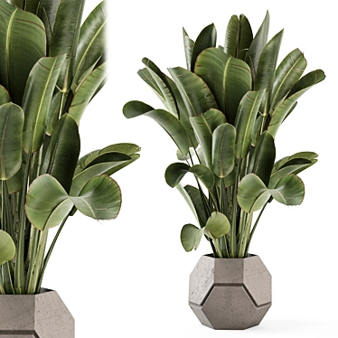 Handmade Stone Pot Indoor Plants 3D model image 1 