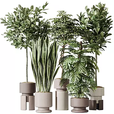 Modern Indoor Plant set Collection 3D model image 1 