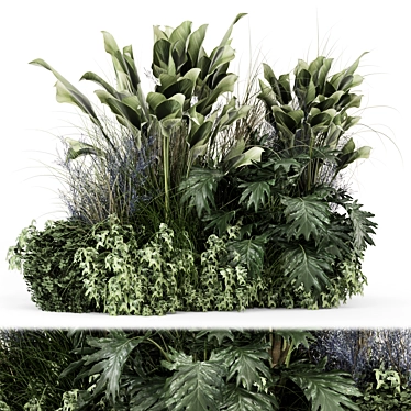 Diverse Outdoor Plants Bush Set 3D model image 1 