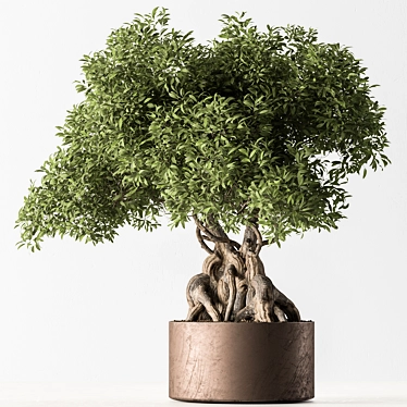 Exquisite Bonsai Plant 719 3D model image 1 