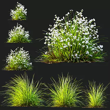 Luminous Grass Duo 3D Models 3D model image 1 