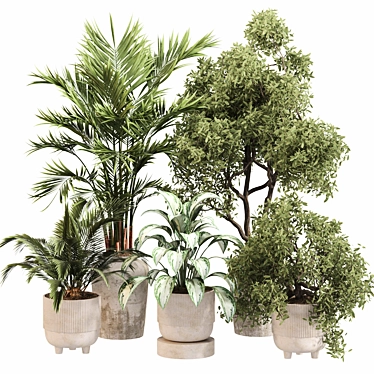 Elegant Indoor Plant Set Fixture 3D model image 1 