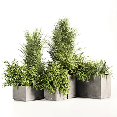 Concrete Box Outdoor Plants Set 3D model image 1 