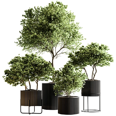 Russian Charm Tree Potted Greenery 3D model image 1 