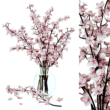 Sakura Branch Bouquet 3D model image 1 