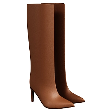 Premium Women's Transitional Boots 3D model image 1 