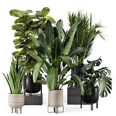 Chic Indoor Plants in Modern Pot 3D model image 1 