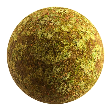 Texture Modelling Pack 3D model image 1 