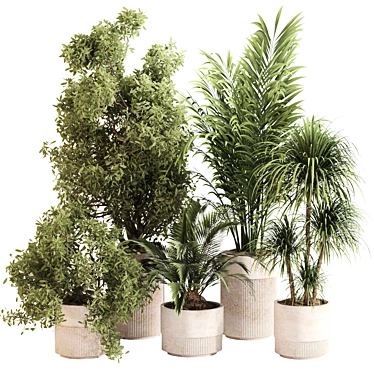 Modern Indoor Plant Set 0100 3D model image 1 