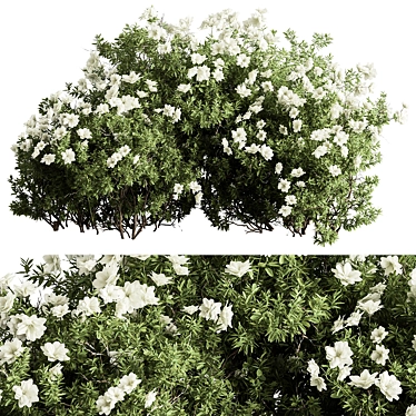 Assorted Floral Bushes Set 144 3D model image 1 