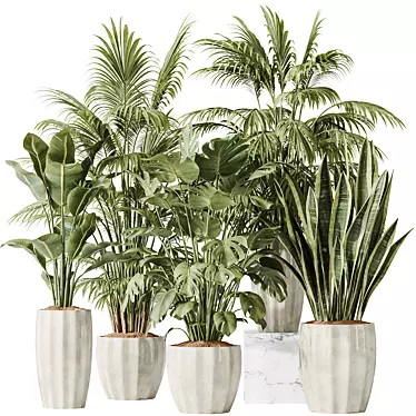 Tropical Indoor Plant Set 3D 3D model image 1 