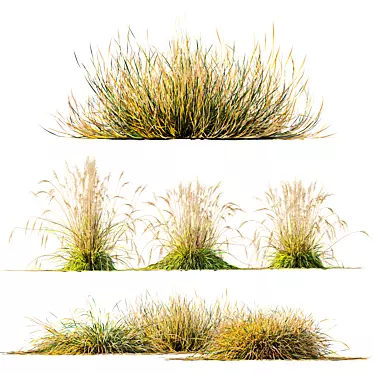 Vibrant Grass 3D Model Set 3D model image 1 