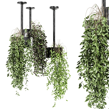 Metal Box Hanging Plants Set 3D model image 1 