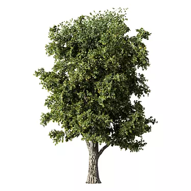 Modern Tree Sculpture Art Piece 3D model image 1 