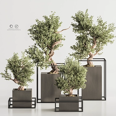 Exquisite Bonsai & Indoor Plant 3D model image 1 