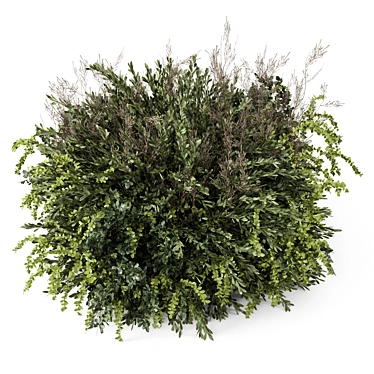 Outdoor Plants Bush Set 2259 3D model image 1 