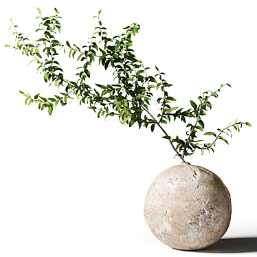 Branch with leaves in a round clay vase