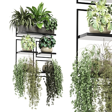 indoor hanging plants in metal shelf_ Set 1340