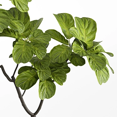 High-Resolution Plants Set for 3D Renders 3D model image 1 