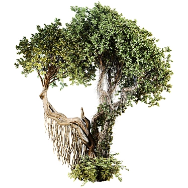 High-Quality Jungle Tree Model 3D model image 1 