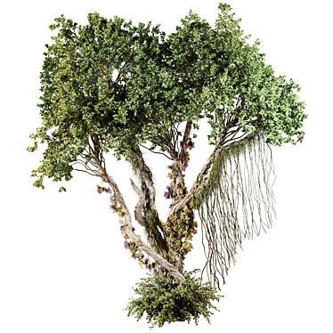 Jungle Tree & Ivy Plants Kit 3D model image 1 