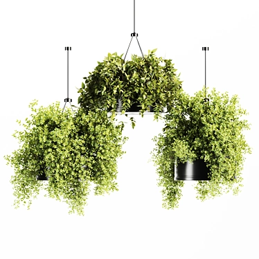 High-Quality Indoor Hanging Plant 3D model image 1 