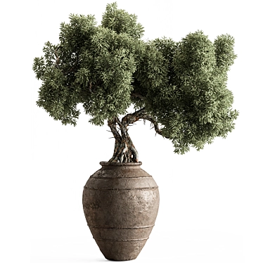 Bonsai Plant 743 - Indoor Beauty 3D model image 1 