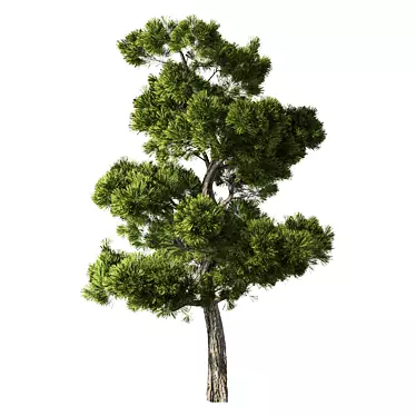 Forest Green Pine Tree No.104 3D model image 1 