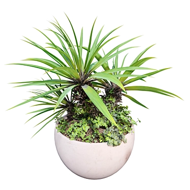 Yucca Ivy Flower Planter Display 3D model image 1 